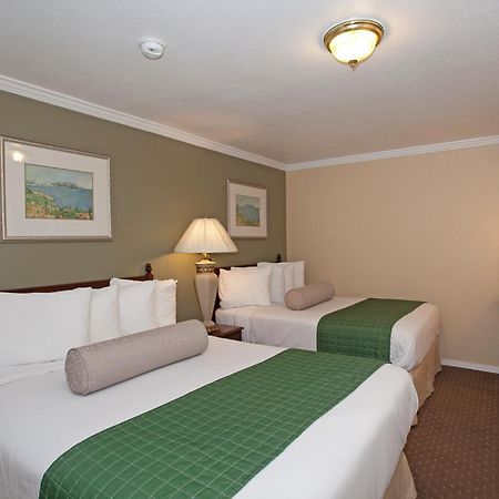 Traveler'S Inn Williams, Ca Modern Renovated Hotel Habitación foto